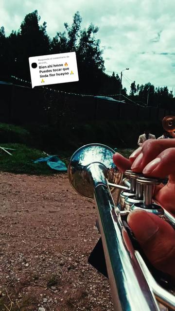 @🎺VERIAO🎺