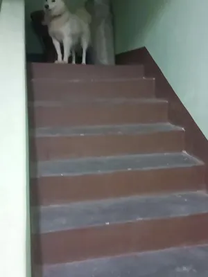 @KALAKAAR
