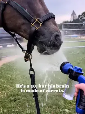 @Beth - Epona Media