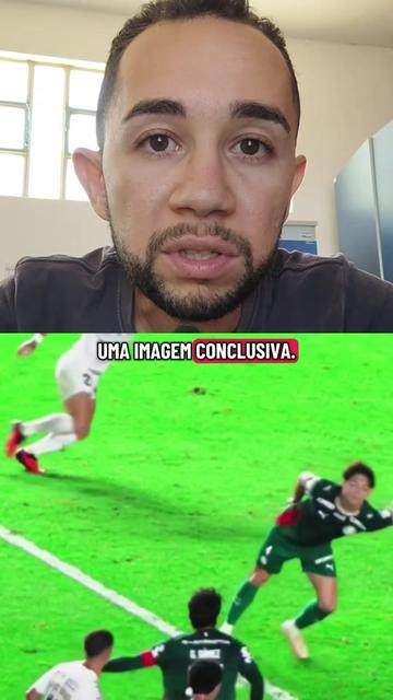 @analistaleigo