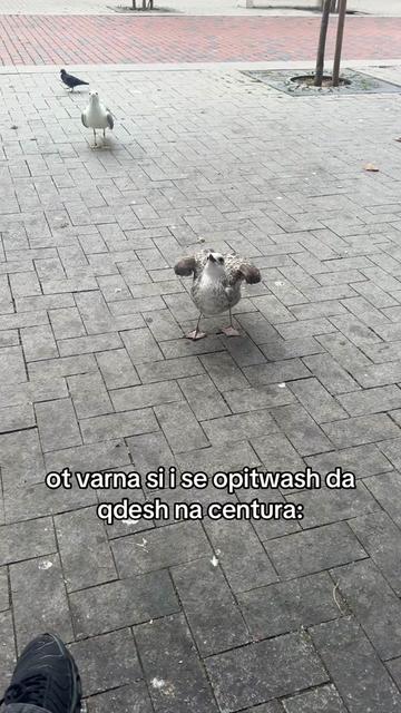@Sonya🪻