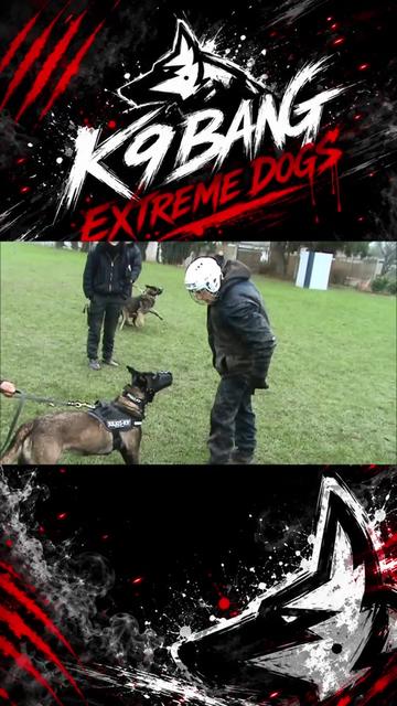 @K9 BANG