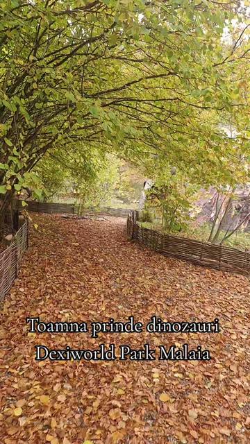 @Dexiworld Park Malaia