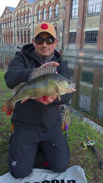 @BF Angler