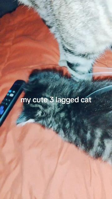 @𝑨𝒏𝒈𝒆𝒍*𝒎𝒐𝒐𝒕 𝒎𝒆 :𝟑