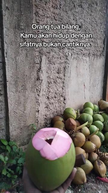 @@BANGKIT_MANDIRI01