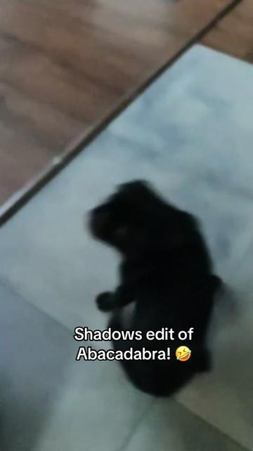 @Mr Shadow