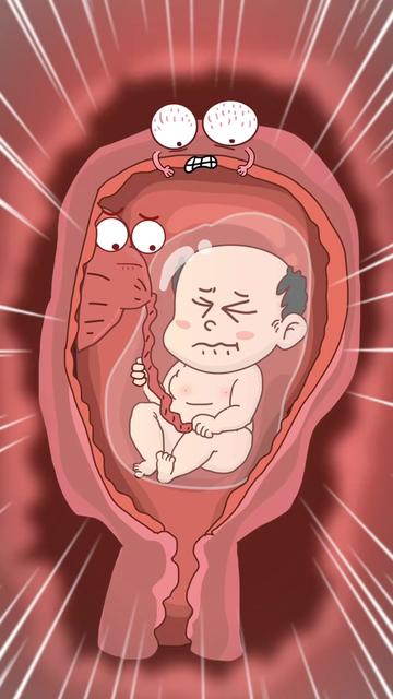 @Funny Animations