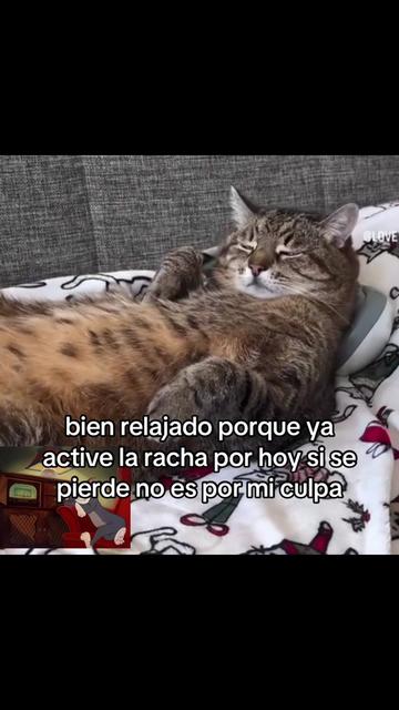 @saulburgosp