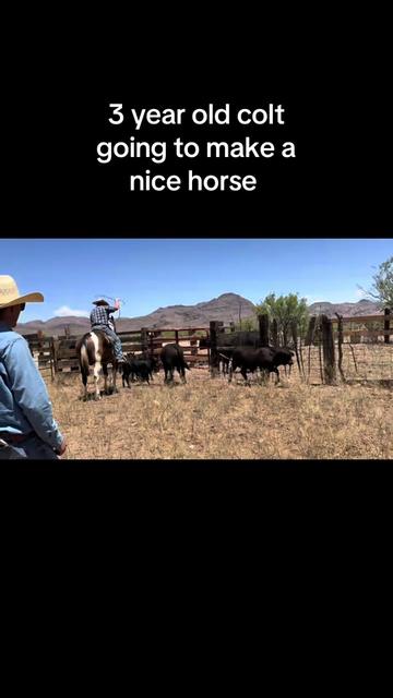 @carlosthecowpuncher