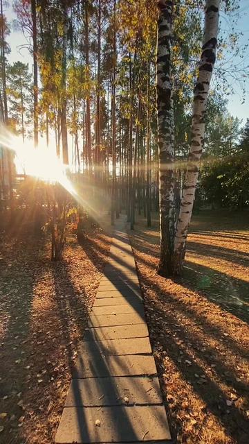 @Вероника