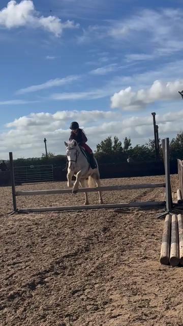 @LottiesHorseAdventures🦄🐴