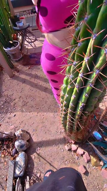 @cactifam