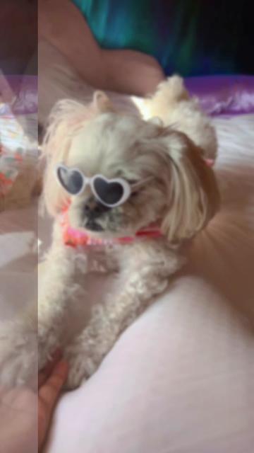 @Bomby y princesa🩵🩷
