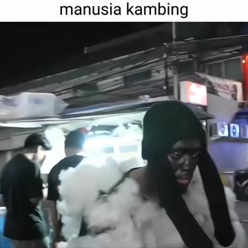 @BocilOby