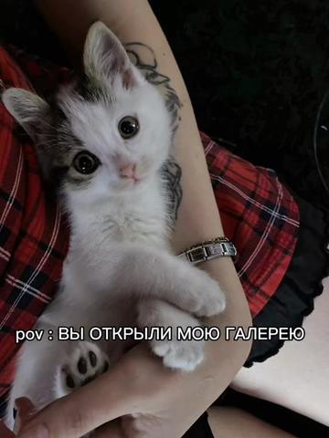 @🖤лuлёk🖤