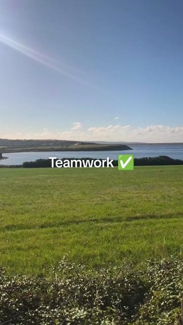 @Teamwork