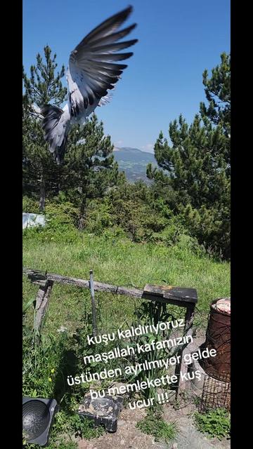 @huseyinsagir