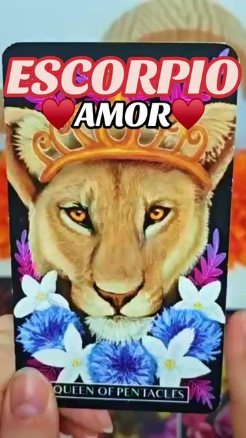 @Daniela Tarot
