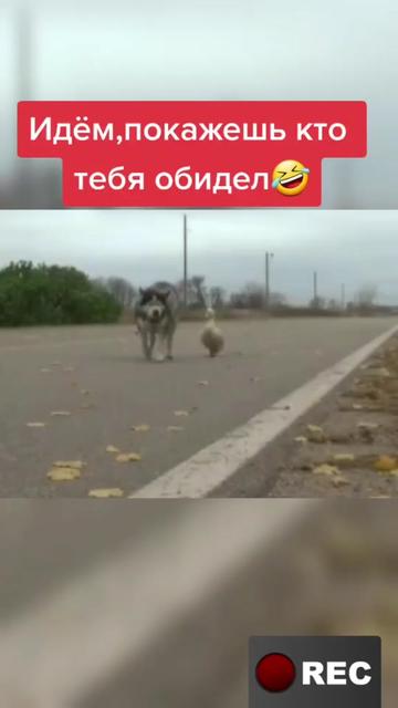 @Лариса