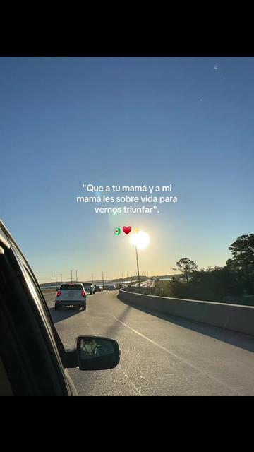 @sofia felix