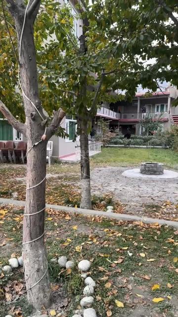 @جانِ من💕