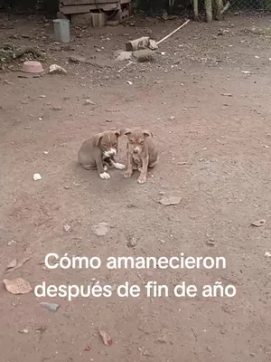 @Aryuri Lopez