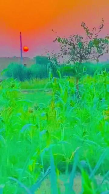 @▄︻R̷e̷h̷a̷n̷ ̷h̷a̷i̷d̷e̷r̷══━一