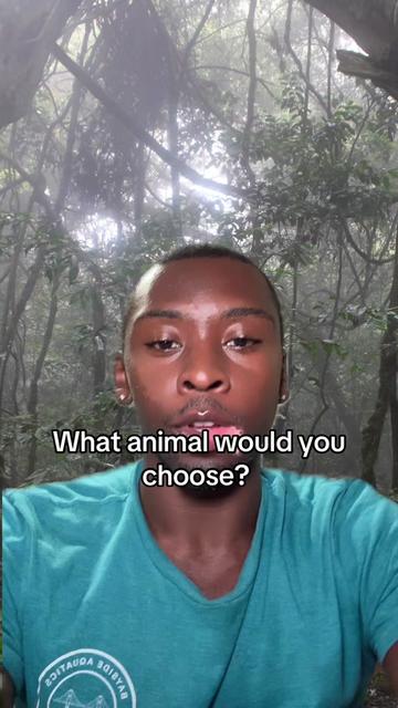 @Johns Jungle