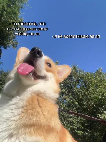 @лирика