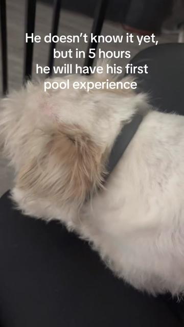 @boredbloo