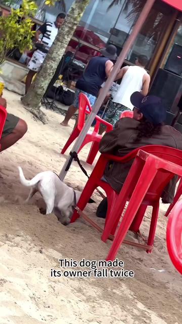 @Tiro Graciana