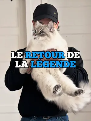 @Coach J&eacute;