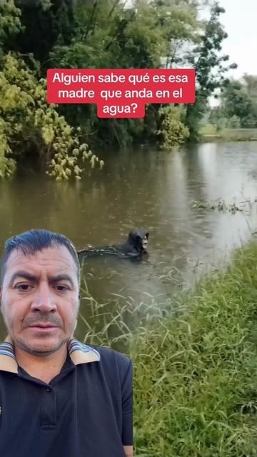 @jorgitosanchez