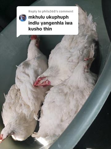 @Bheki Nkosi