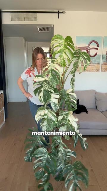 @🌱 En Abril Hojas Mil 🌱