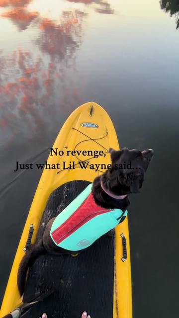 @S H E L B