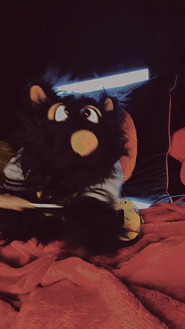 @Rocko-DerWolf