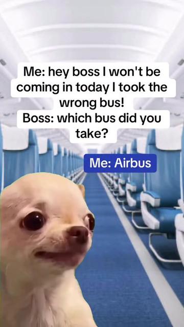 @cswalimemes