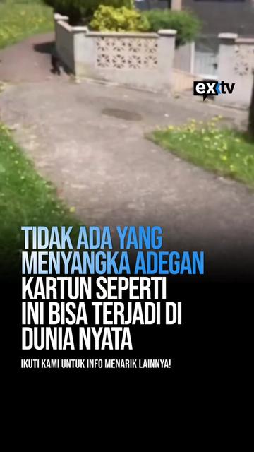 @Expressi Media