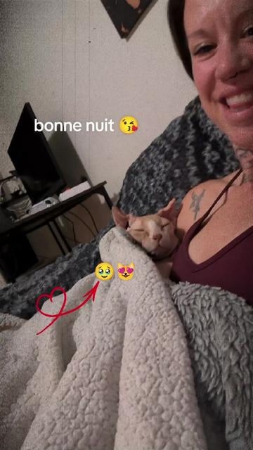 @Amy_dusoleildanstajournee
