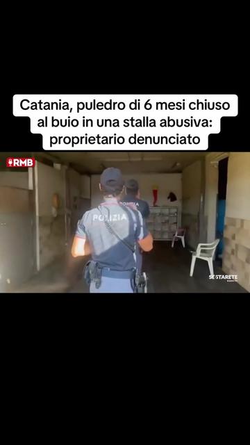 @Edoardo Picone | Giornalista