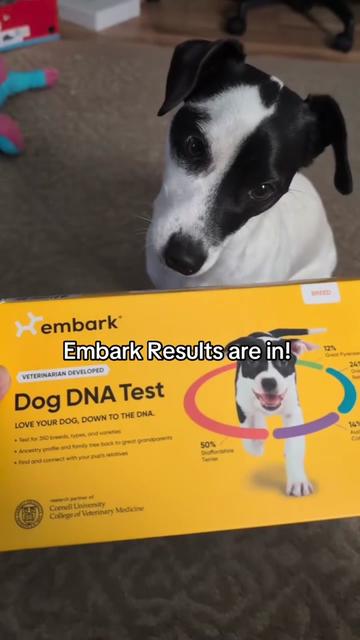 @Embark Vet