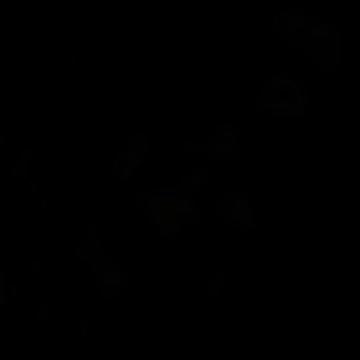 @Shadow