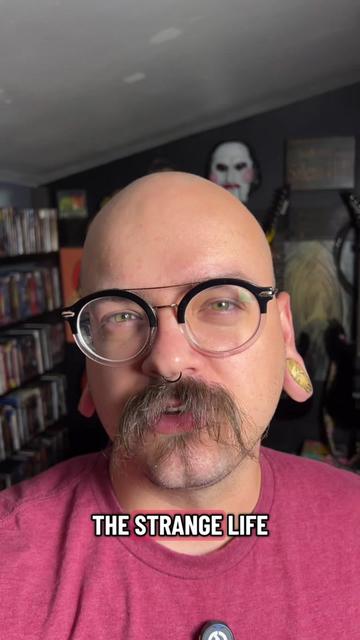 @discount_orlok