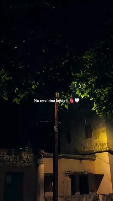 @🎶status lovers 🎶