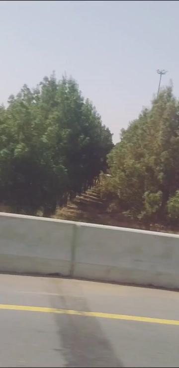 @ziya368