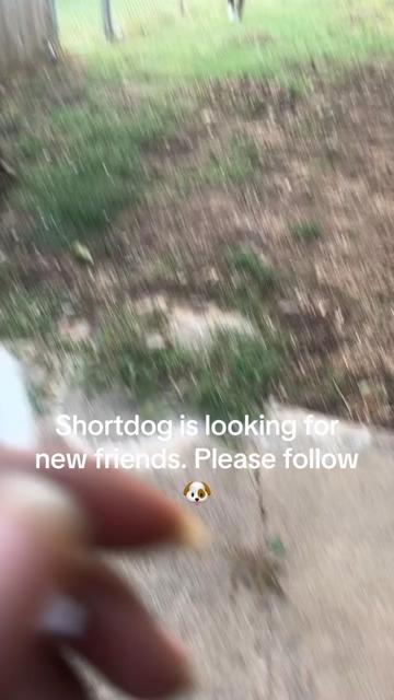 @poohbie2trill&shortdog