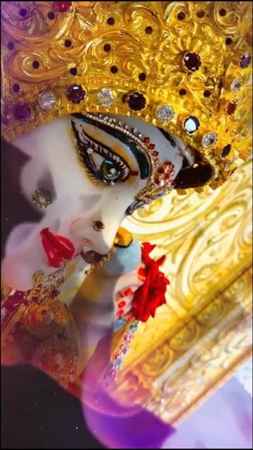 @Mihir Rajput 1807
