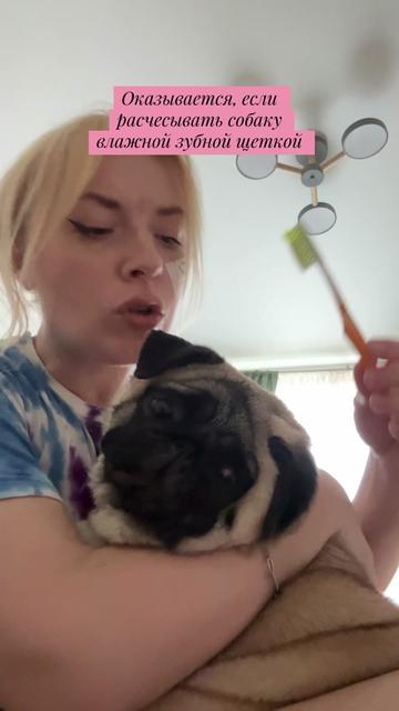 @Мопс Луиза